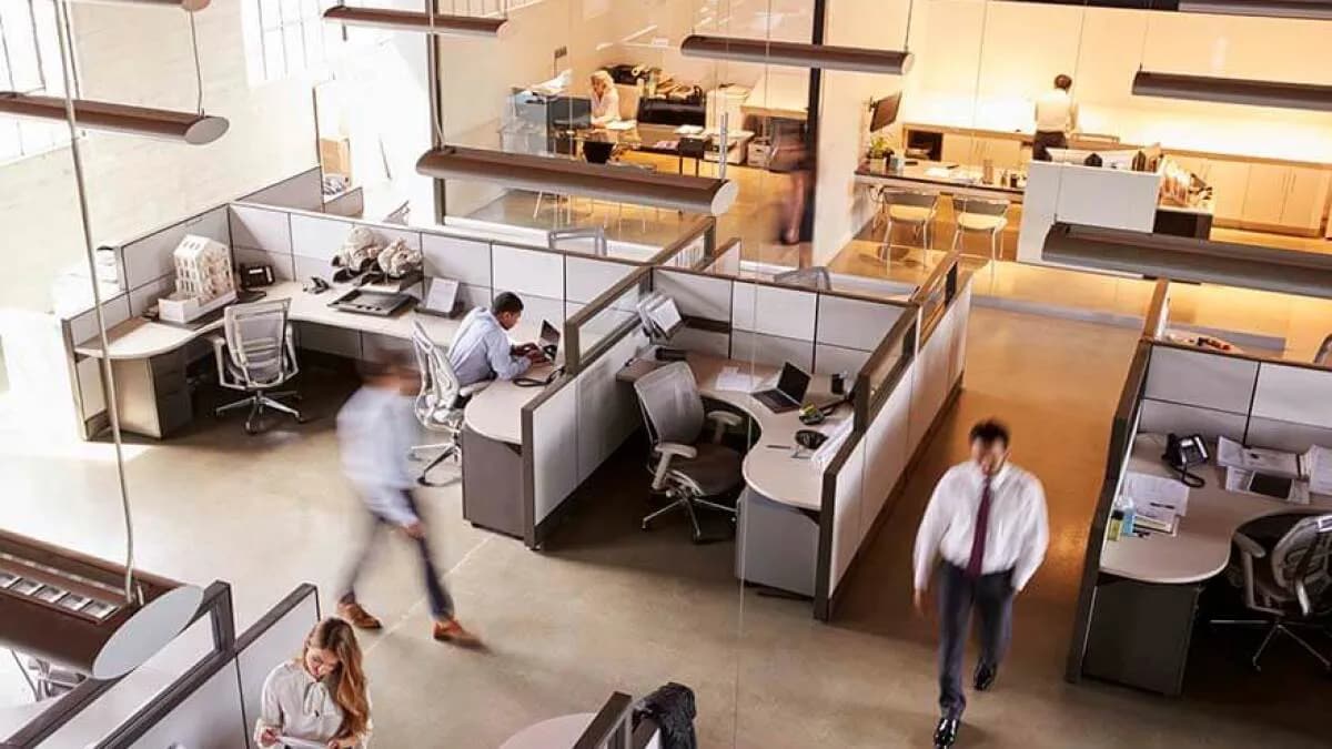 An office with cubicals and employees working