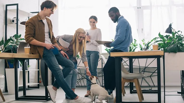 Four people standing in a welllit office with a small dog on the floor